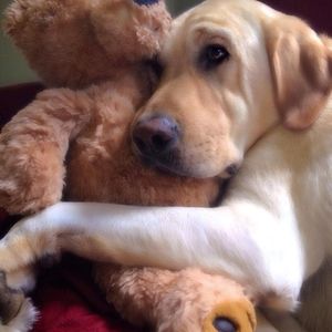 Meet your Posher, Joanne